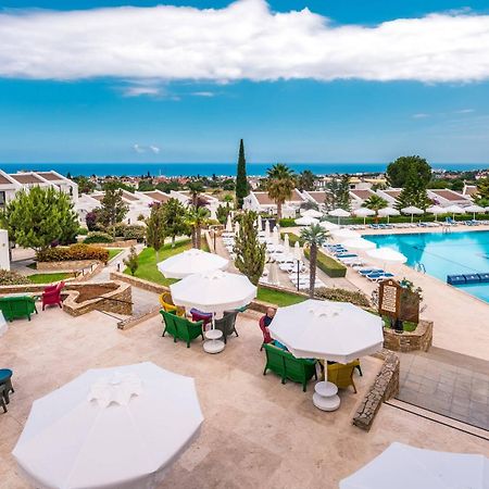 The Olive Tree Hotel Agios Epiktitos Esterno foto