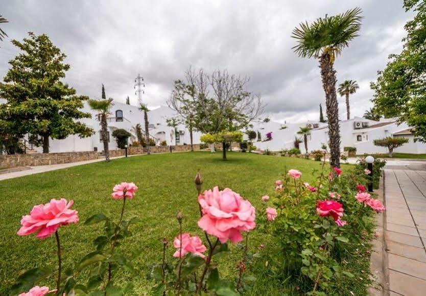 The Olive Tree Hotel Agios Epiktitos Esterno foto