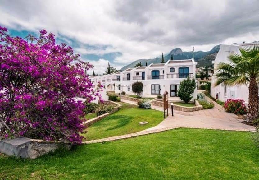 The Olive Tree Hotel Agios Epiktitos Esterno foto