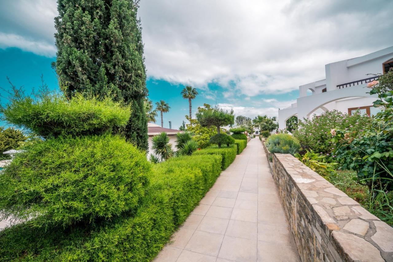 The Olive Tree Hotel Agios Epiktitos Esterno foto