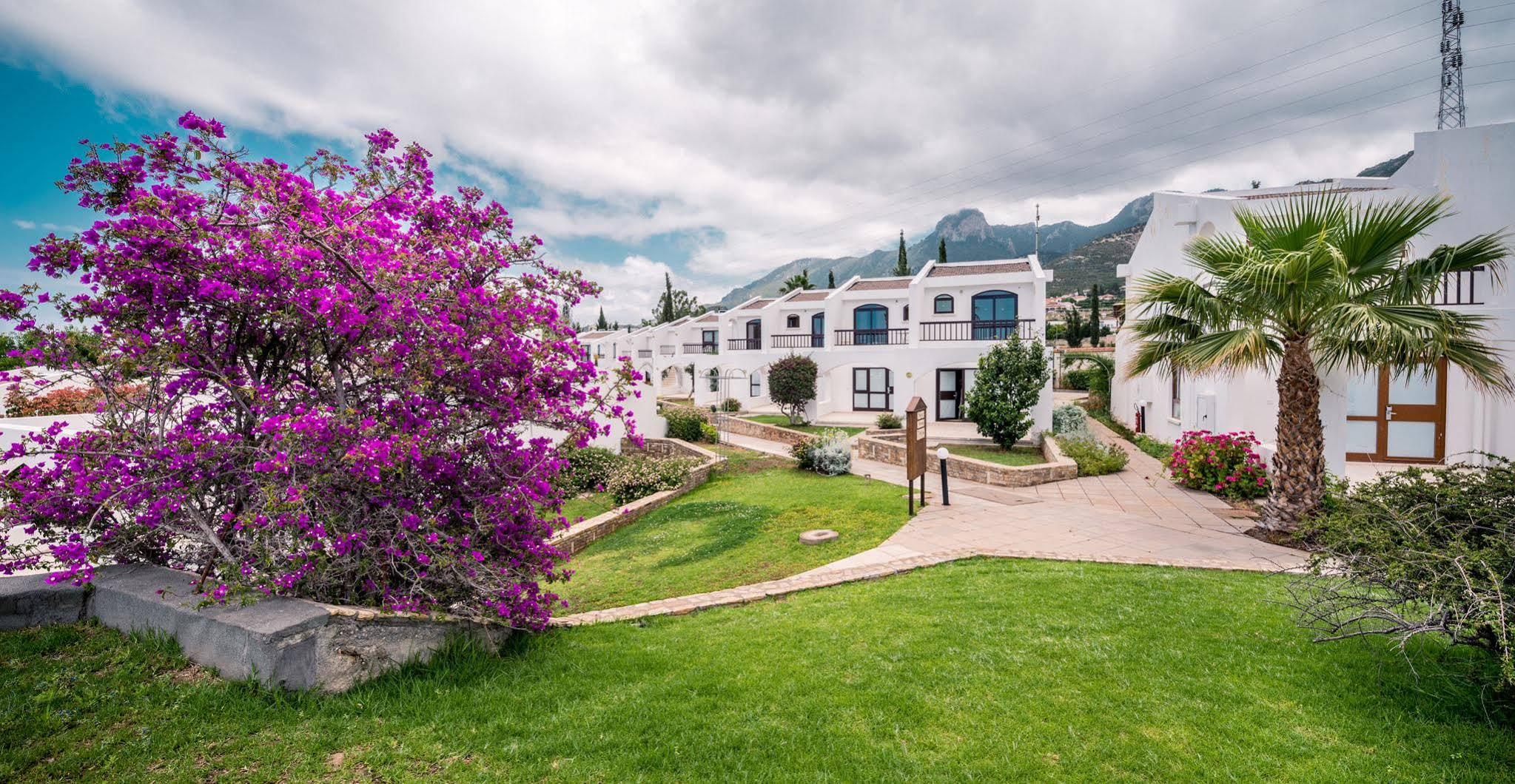 The Olive Tree Hotel Agios Epiktitos Esterno foto