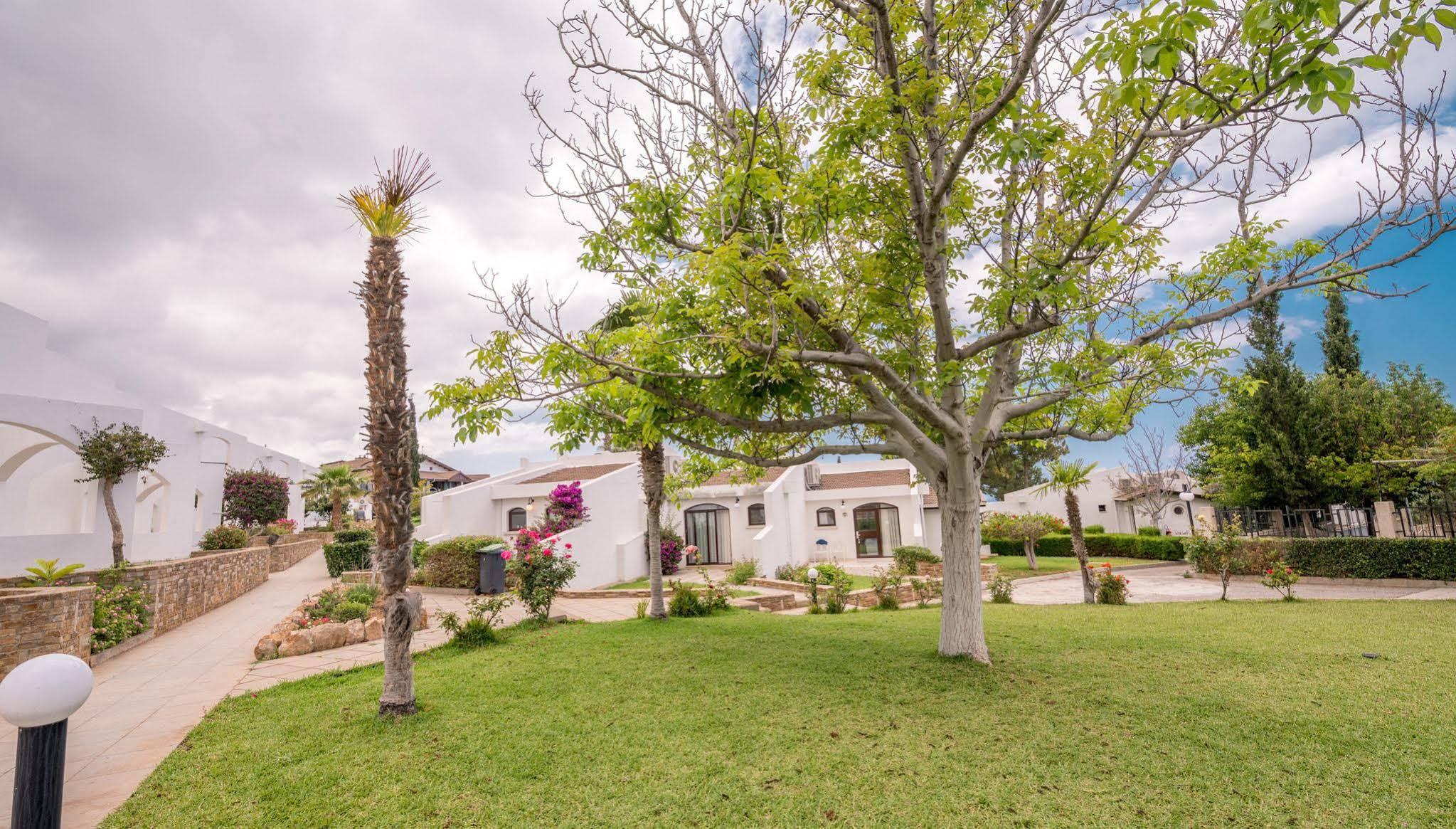 The Olive Tree Hotel Agios Epiktitos Esterno foto